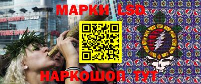 шишки Гусь-Хрустальный